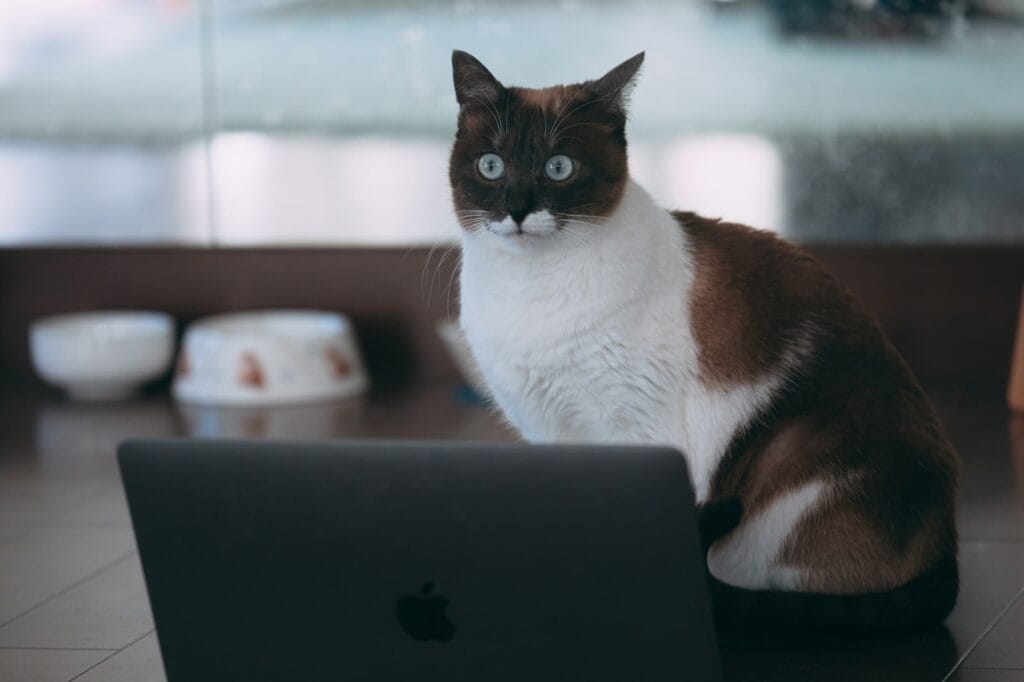 PCがしゃべるのを止めるには