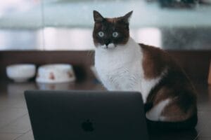 PCがしゃべるのを止めるには